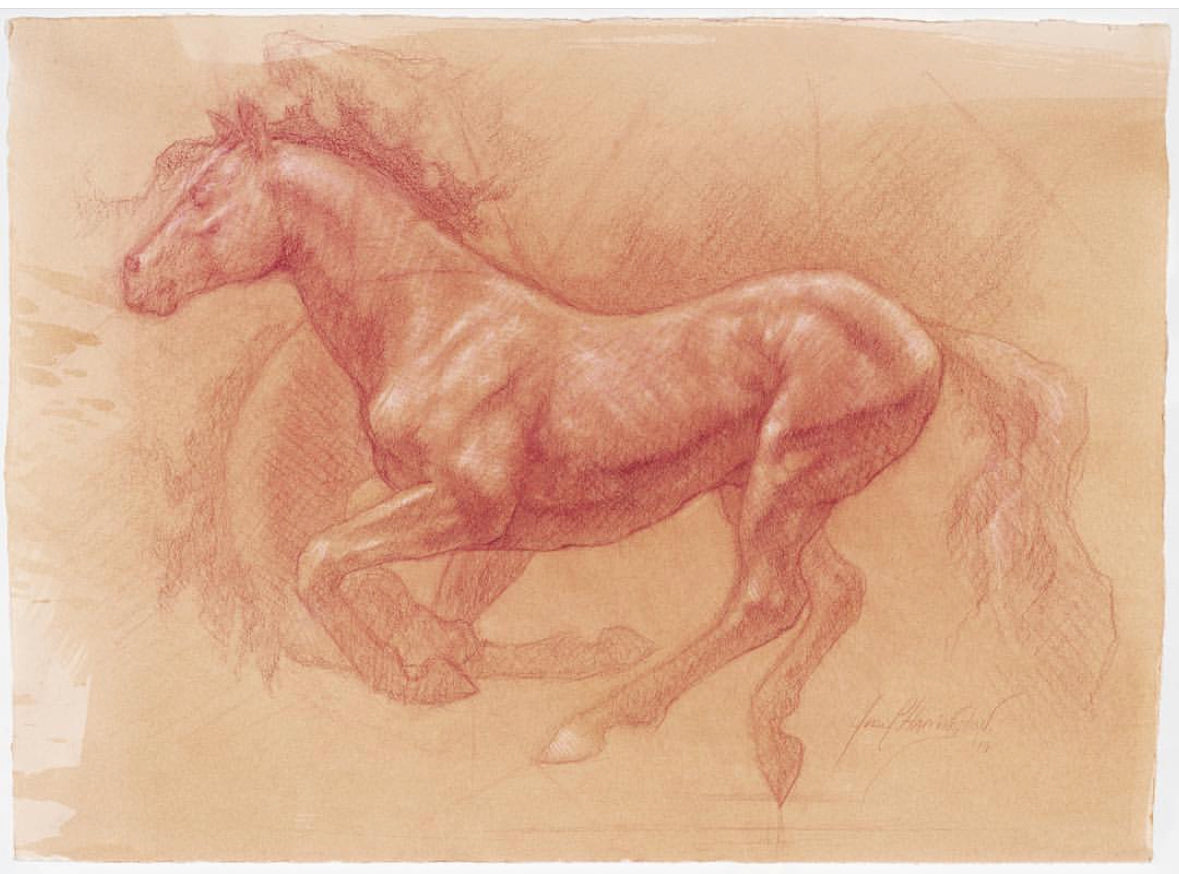 hand dr.awn image of a horse, mid-air, running in motion