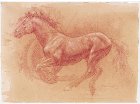 hand dr.awn image of a horse, mid-air, running in motion