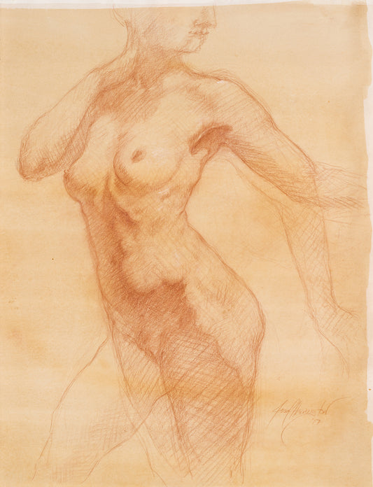 Hand drawn image of a nude female model from the front